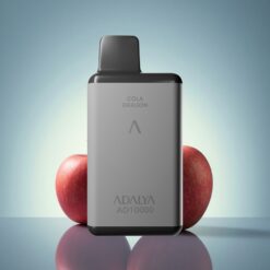 Adalya AD 10000 Puffs Les Deux Pommes Gris Espace 14 ml 2% nicotine 650 mAh