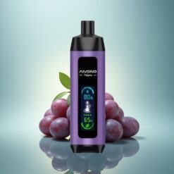 Aivono Aim Fatpro 22000 Puffs Menthe Raisin 5% Nicotine 600mAh