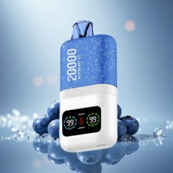 Aivono Aim Magic 20000 Puffs Glace Myrtille Dual Mesh 600mAh