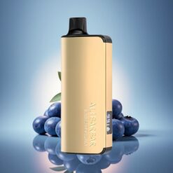 Alibarbar Ingot 9000 Puffs Explosion Myrtille 2350mAh 22ml