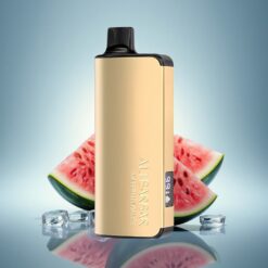 Alibarbar Ingot 9000 Puffs Glace à la Pastèque 22ml 2350mAh