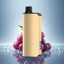 Alibarbar Ingot 9000 Puffs Glace de Raisin 2350mAh 22ml