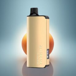 Alibarbar Ingot 9000 Puffs Magique Mangue 2350mAh 22ml