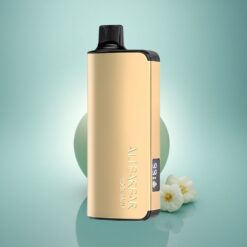 Alibarbar Ingot 9000 Puffs Menthe Fraîche 2350mAh 22ml