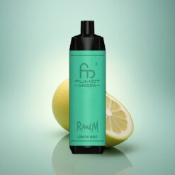 RandM Fumot Shisha 10000 Puffs Citron Menthe avec Indicateur LED et Batterie 850 mAh