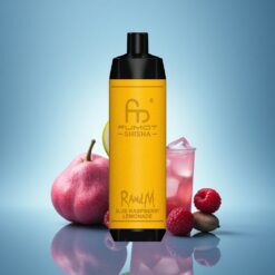 RandM Fumot Shisha 10000 Puffs Citronnade Framboise Bleue avec 0,5% Nicotine et Batterie 850 mAh