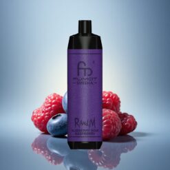 RandM Fumot Shisha 10000 Puffs Framboise Acidulée Myrtille avec 0,5% de Nicotine et Batterie 850 mAh
