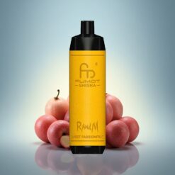 RandM Fumot Shisha 10000 Puffs Fruit de la Passion Doux avec 18ml et 850 mAh