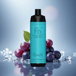 RandM Fumot Shisha 10000 Puffs Glace à la Cassis avec Indicateur LED et Batterie 850 mAh