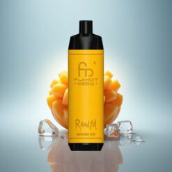RandM Fumot Shisha 10000 Puffs Glace à la Mangue avec Batterie 850 mAh et Contenu en Nicotine 0.5%
