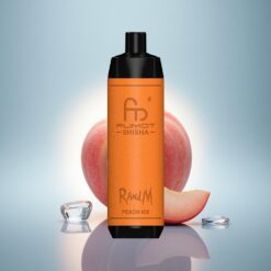 RandM Fumot Shisha 10000 Puffs Glace à la Pêche LED 850 mAh