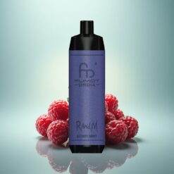 RandM Fumot Shisha 10000 Puffs Menthe Baie avec 0,5% de nicotine et batterie 850 mAh