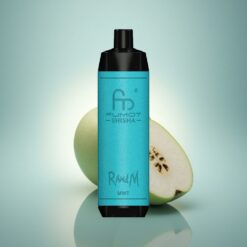 RandM Fumot Shisha 10000 Puffs Menthe Indicateur LED et Batterie 850 mAh