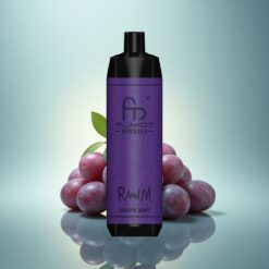 RandM Fumot Shisha 10000 Puffs Menthe Raisin à LED et 850 mAh