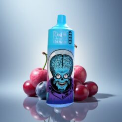 RandM Fumot Tornado 9000 Puffs Myrtille Cerise Canneberge 850 mAh 18 mL